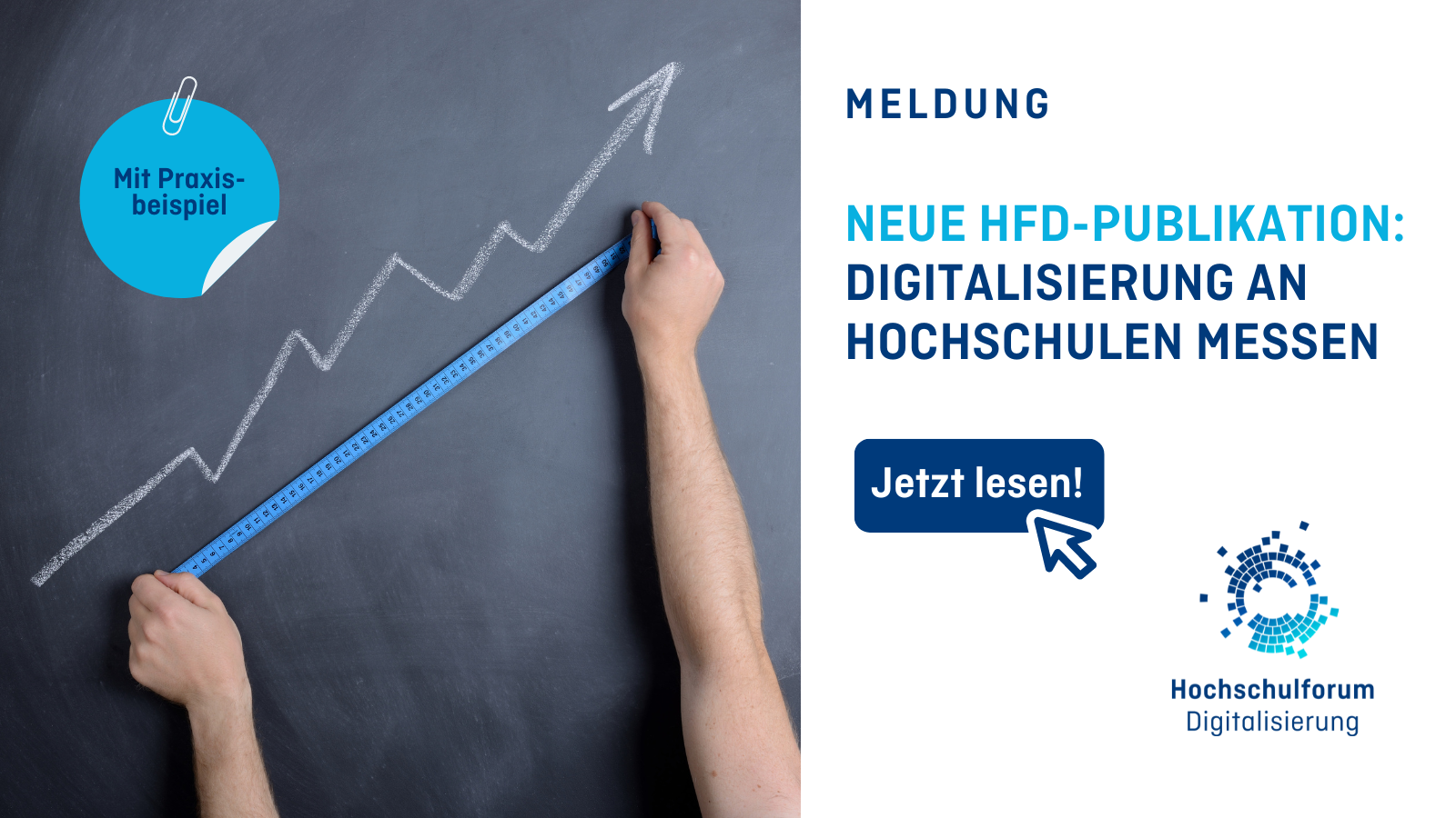 HFD-Publikation: Digitalisierung An Hochschulen Messen